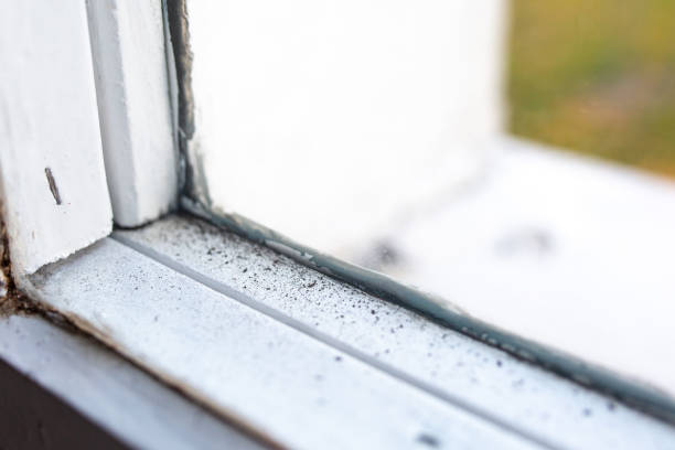 Best Asbestos and Lead Testing During Mold Inspection  in Glenville, CT