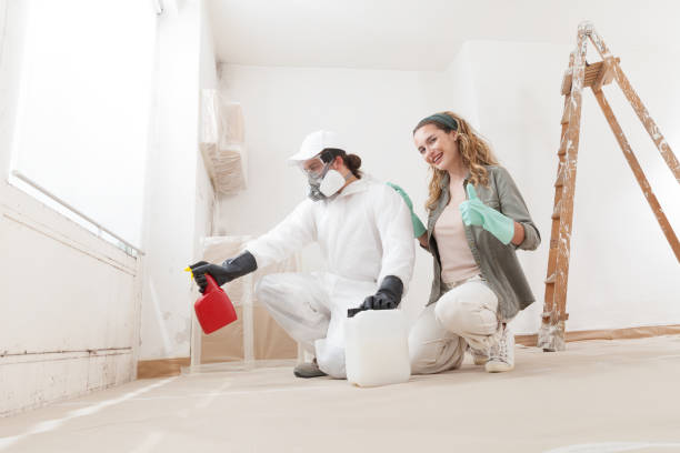 Best Black Mold Removal  in Glenville, CT