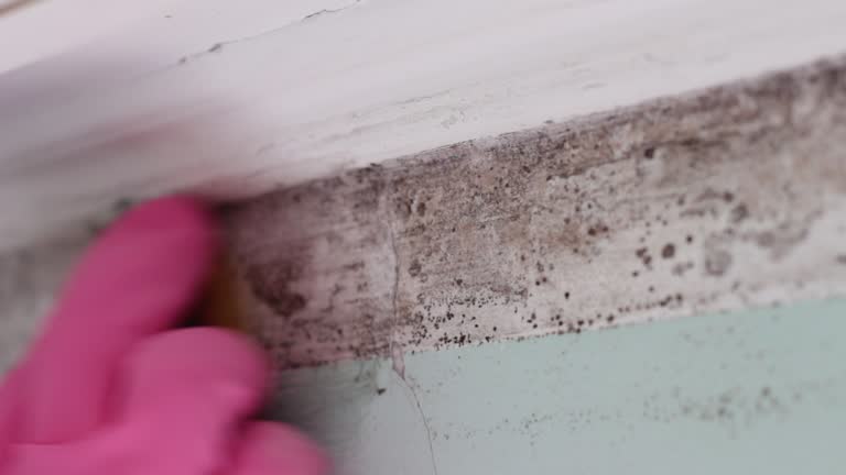 Best Post-Remediation Verification Testing  in Glenville, CT